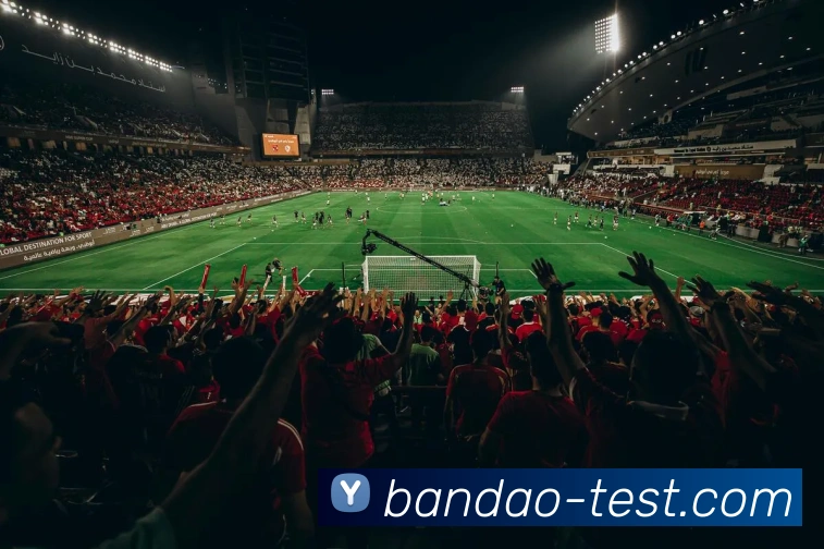 半岛体育官方网站平台生态图