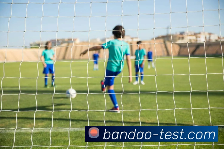 半岛体育官方网站全站App